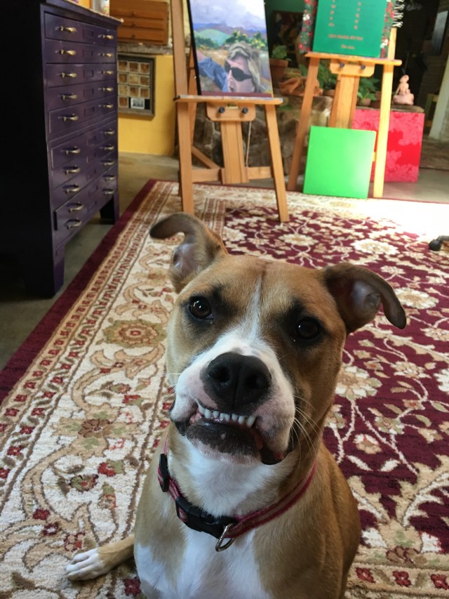Bess teeth