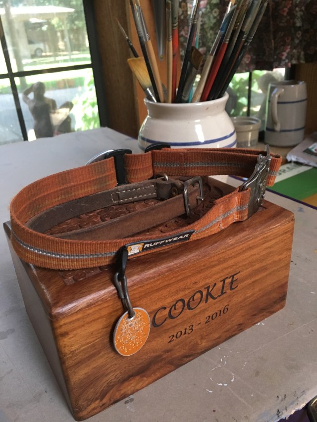 cookie collar