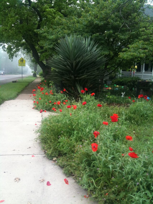 Convergence1, JMN, photo. Copyright 2018 James Mansfield Nichols. All rights reserved.