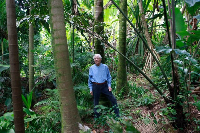 ws merwin in trees